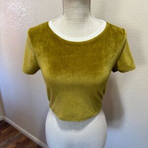 Urban Outfitters Olive Green Velvet Crop Top with White Trim - Size S/P